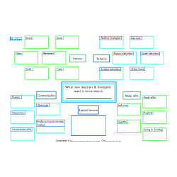 Back To School Graphic Organizer- Student Summary, for parents, teachers, therapists